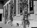 Dateiname=SchlossThunstetten_026.jpg
Dateigröße=358KB
Abmessungen: 1199x900
hinzugefügt am: 20. Juni 2017 SchlossThunstetten_026.jpg
