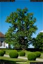 Dateiname=SchlossThunstetten_037.jpg
Dateigröße=134KB
Abmessungen: 603x900
hinzugefügt am: 20. Juni 2017 SchlossThunstetten_037.jpg