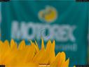 Dateiname=Motorex_011.jpg
Dateigröße=78KB
Abmessungen: 1199x900
hinzugefügt am: 25. Juni 2017 Motorex_011.jpg