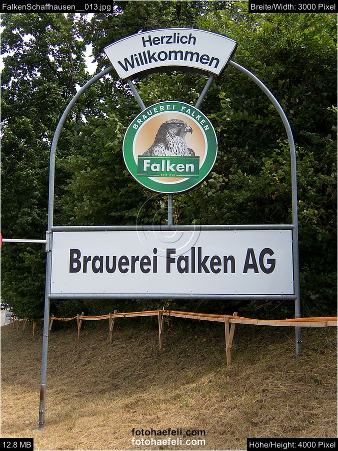FalkenSchaffhausen__013.jpg
