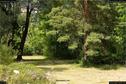 Dateiname=Zurlindeninsel_047.jpg
Dateigröße=508KB
Abmessungen: 1349x900
hinzugefügt am: 06. Juli 2017 Zurlindeninsel_047.jpg