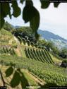 Dateiname=Spiez_038.jpg
Dateigröße=189KB
Abmessungen: 676x900
hinzugefügt am: 14. Juli 2017 Spiez_038.jpg