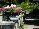 Dateiname=Spiez_045.jpg
Dateigröße=231KB
Abmessungen: 1199x900
hinzugefügt am: 14. Juli 2017 Spiez_045.jpg