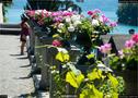 Dateiname=Spiez_048.jpg
Dateigröße=266KB
Abmessungen: 1258x900
hinzugefügt am: 14. Juli 2017 Spiez_048.jpg