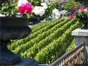 Dateiname=Spiez_056.jpg
Dateigröße=318KB
Abmessungen: 1199x900
hinzugefügt am: 14. Juli 2017 Spiez_056.jpg