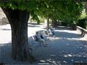 Dateiname=Spiez_072.jpg
Dateigröße=333KB
Abmessungen: 1199x900
hinzugefügt am: 14. Juli 2017 Spiez_072.jpg
