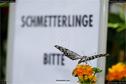 Dateiname=WyssZuchwil_069.jpg
Dateigröße=90KB
Abmessungen: 1349x900
hinzugefügt am: 24. Juli 2017 WyssZuchwil_069.jpg