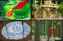 Dateiname=LandArtBiel2017_001.jpg
Dateigröße=482KB
Abmessungen: 1383x900
hinzugefügt am: 10. Oktober 2017 LandArtBiel2017_001.jpg