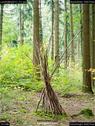 Dateiname=LandArtBiel2017_011.jpg
Dateigröße=290KB
Abmessungen: 676x900
hinzugefügt am: 10. Oktober 2017 LandArtBiel2017_011.jpg