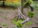 Dateiname=LandArtBiel2017_012.jpg
Dateigröße=455KB
Abmessungen: 1199x900
hinzugefügt am: 10. Oktober 2017 LandArtBiel2017_012.jpg