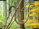 Dateiname=LandArtBiel2017_013.jpg
Dateigröße=343KB
Abmessungen: 1199x900
hinzugefügt am: 10. Oktober 2017 LandArtBiel2017_013.jpg
