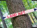Dateiname=LandArtBiel2017_014.jpg
Dateigröße=424KB
Abmessungen: 1199x900
hinzugefügt am: 10. Oktober 2017 LandArtBiel2017_014.jpg