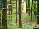 Dateiname=LandArtBiel2017_015.jpg
Dateigröße=488KB
Abmessungen: 1199x900
hinzugefügt am: 10. Oktober 2017 LandArtBiel2017_015.jpg