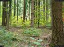 Dateiname=LandArtBiel2017_018.jpg
Dateigröße=483KB
Abmessungen: 1199x900
hinzugefügt am: 10. Oktober 2017 LandArtBiel2017_018.jpg