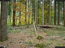 Dateiname=LandArtBiel2017_020.jpg
Dateigröße=483KB
Abmessungen: 1199x900
hinzugefügt am: 10. Oktober 2017 LandArtBiel2017_020.jpg