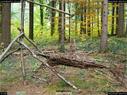 Dateiname=LandArtBiel2017_021.jpg
Dateigröße=516KB
Abmessungen: 1199x900
hinzugefügt am: 10. Oktober 2017 LandArtBiel2017_021.jpg