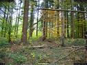 Dateiname=LandArtBiel2017_022.jpg
Dateigröße=496KB
Abmessungen: 1199x900
hinzugefügt am: 10. Oktober 2017 LandArtBiel2017_022.jpg