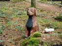 Dateiname=LandArtBiel2017_024.jpg
Dateigröße=421KB
Abmessungen: 1199x900
hinzugefügt am: 10. Oktober 2017 LandArtBiel2017_024.jpg