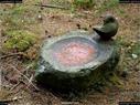 Dateiname=LandArtBiel2017_025.jpg
Dateigröße=500KB
Abmessungen: 1199x900
hinzugefügt am: 10. Oktober 2017 LandArtBiel2017_025.jpg