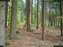 Dateiname=LandArtBiel2017_026.jpg
Dateigröße=462KB
Abmessungen: 1199x900
hinzugefügt am: 10. Oktober 2017 LandArtBiel2017_026.jpg