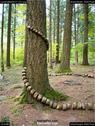 Dateiname=LandArtBiel2017_031.jpg
Dateigröße=273KB
Abmessungen: 676x900
hinzugefügt am: 10. Oktober 2017 LandArtBiel2017_031.jpg
