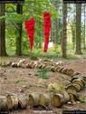 Dateiname=LandArtBiel2017_032.jpg
Dateigröße=250KB
Abmessungen: 676x900
hinzugefügt am: 10. Oktober 2017 LandArtBiel2017_032.jpg