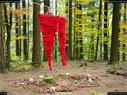 Dateiname=LandArtBiel2017_036.jpg
Dateigröße=477KB
Abmessungen: 1199x900
hinzugefügt am: 10. Oktober 2017 LandArtBiel2017_036.jpg