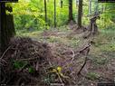 Dateiname=LandArtBiel2017_037.jpg
Dateigröße=503KB
Abmessungen: 1199x900
hinzugefügt am: 10. Oktober 2017 LandArtBiel2017_037.jpg