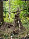 Dateiname=LandArtBiel2017_038.jpg
Dateigröße=309KB
Abmessungen: 676x900
hinzugefügt am: 10. Oktober 2017 LandArtBiel2017_038.jpg