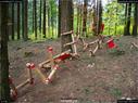 Dateiname=LandArtBiel2017_044.jpg
Dateigröße=427KB
Abmessungen: 1199x900
hinzugefügt am: 10. Oktober 2017 LandArtBiel2017_044.jpg