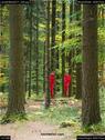 Dateiname=LandArtBiel2017_046.jpg
Dateigröße=247KB
Abmessungen: 676x900
hinzugefügt am: 10. Oktober 2017 LandArtBiel2017_046.jpg