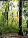 Dateiname=LandArtBiel2017_048.jpg
Dateigröße=301KB
Abmessungen: 676x900
hinzugefügt am: 10. Oktober 2017 LandArtBiel2017_048.jpg