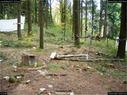 Dateiname=LandArtBiel2017_052.jpg
Dateigröße=477KB
Abmessungen: 1199x900
hinzugefügt am: 10. Oktober 2017 LandArtBiel2017_052.jpg