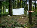 Dateiname=LandArtBiel2017_059.jpg
Dateigröße=441KB
Abmessungen: 1199x900
hinzugefügt am: 10. Oktober 2017 LandArtBiel2017_059.jpg