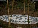 Dateiname=LandArtBiel2017_061.jpg
Dateigröße=359KB
Abmessungen: 1199x900
hinzugefügt am: 10. Oktober 2017 LandArtBiel2017_061.jpg