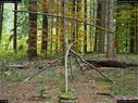 Dateiname=LandArtBiel2017_063.jpg
Dateigröße=476KB
Abmessungen: 1199x900
hinzugefügt am: 10. Oktober 2017 LandArtBiel2017_063.jpg