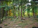 Dateiname=LandArtBiel2017_064.jpg
Dateigröße=413KB
Abmessungen: 1199x900
hinzugefügt am: 10. Oktober 2017 LandArtBiel2017_064.jpg