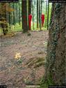 Dateiname=LandArtBiel2017_065.jpg
Dateigröße=202KB
Abmessungen: 676x900
hinzugefügt am: 10. Oktober 2017 LandArtBiel2017_065.jpg