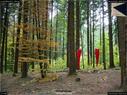 Dateiname=LandArtBiel2017_066.jpg
Dateigröße=432KB
Abmessungen: 1199x900
hinzugefügt am: 10. Oktober 2017 LandArtBiel2017_066.jpg