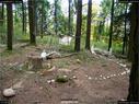 Dateiname=LandArtBiel2017_067.jpg
Dateigröße=432KB
Abmessungen: 1199x900
hinzugefügt am: 10. Oktober 2017 LandArtBiel2017_067.jpg