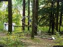 Dateiname=LandArtBiel2017_072.jpg
Dateigröße=491KB
Abmessungen: 1199x900
hinzugefügt am: 10. Oktober 2017 LandArtBiel2017_072.jpg