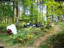 Dateiname=LandArtBiel2017_083.jpg
Dateigröße=531KB
Abmessungen: 1199x900
hinzugefügt am: 10. Oktober 2017 LandArtBiel2017_083.jpg