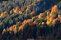 Dateiname=Neuschwanstein_027.jpg
Dateigröße=349KB
Abmessungen: 1349x900
hinzugefügt am: 17. Januar 2018 Neuschwanstein_027.jpg
