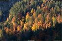 Dateiname=Neuschwanstein_028.jpg
Dateigröße=373KB
Abmessungen: 1349x900
hinzugefügt am: 17. Januar 2018 Neuschwanstein_028.jpg
