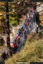 Dateiname=Neuschwanstein_108.jpg
Dateigröße=237KB
Abmessungen: 601x900
hinzugefügt am: 17. Januar 2018 Neuschwanstein_108.jpg