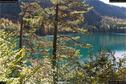 Dateiname=Neuschwanstein_264.jpg
Dateigröße=468KB
Abmessungen: 1349x900
hinzugefügt am: 17. Januar 2018 Neuschwanstein_264.jpg