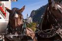 Dateiname=Neuschwanstein_286.jpg
Dateigröße=212KB
Abmessungen: 1349x900
hinzugefügt am: 17. Januar 2018 Neuschwanstein_286.jpg