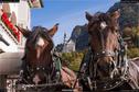 Dateiname=Neuschwanstein_287.jpg
Dateigröße=265KB
Abmessungen: 1349x900
hinzugefügt am: 17. Januar 2018 Neuschwanstein_287.jpg