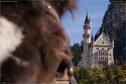 Dateiname=Neuschwanstein_288.jpg
Dateigröße=159KB
Abmessungen: 1349x900
hinzugefügt am: 17. Januar 2018 Neuschwanstein_288.jpg