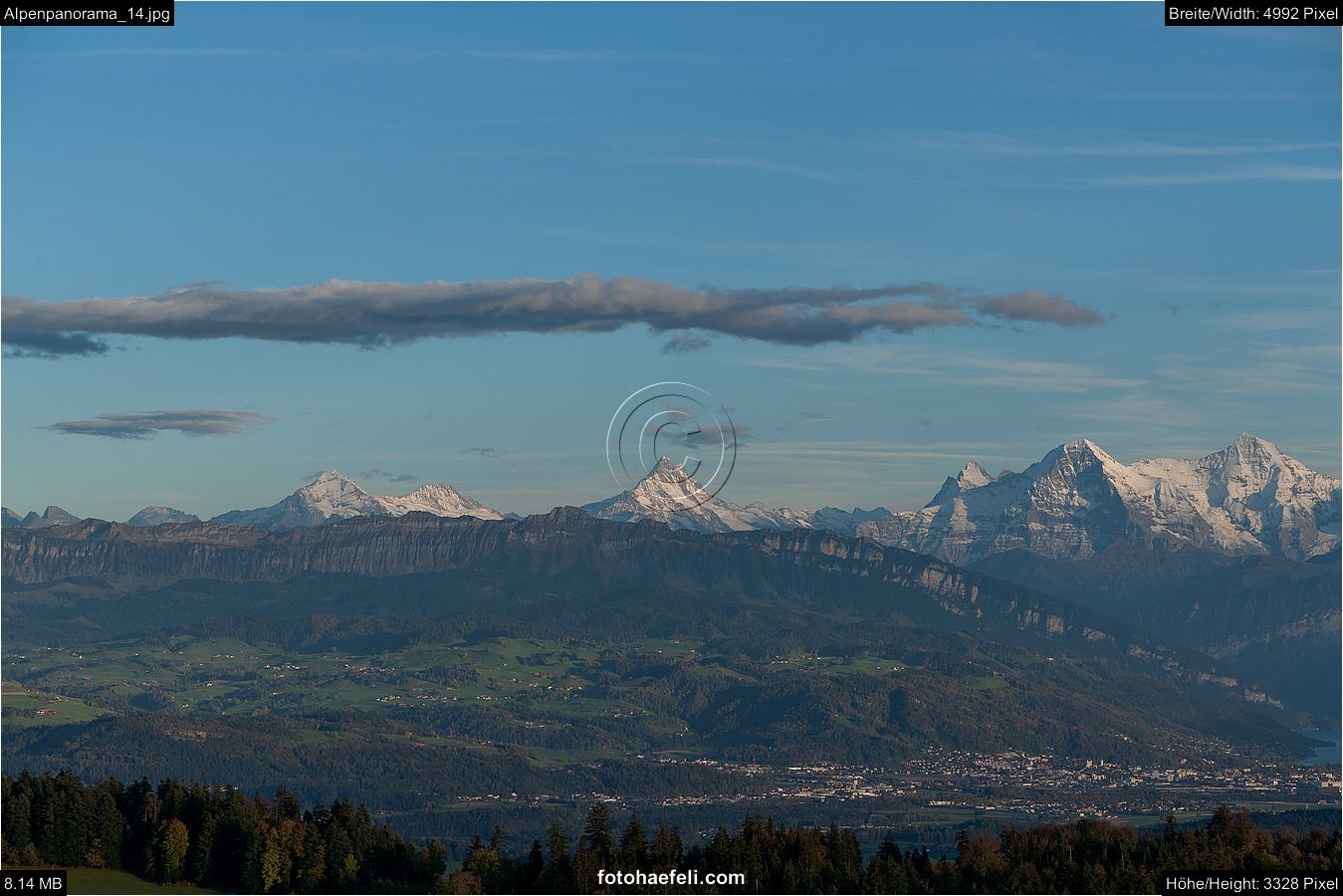Alpenpanorama_14.jpg